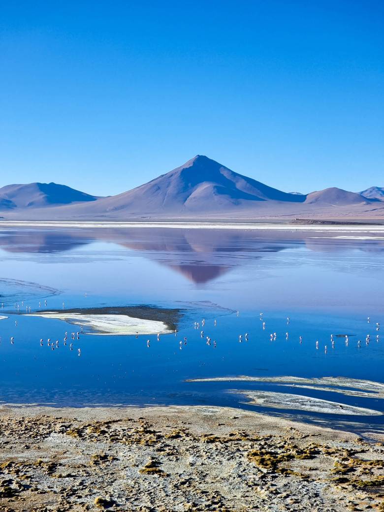 sud de lipez bolivie