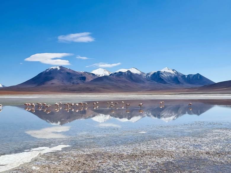 laguna cachi sud de lipez